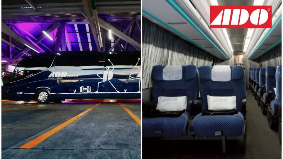 Así lucen los nuevos autobuses de ADO Platino i8 Efficient, ¿qué beneficios ofrecen? Así lucen los nuevos autobuses de ADO Platino i8 Efficient, ¿qué beneficios ofrecen?