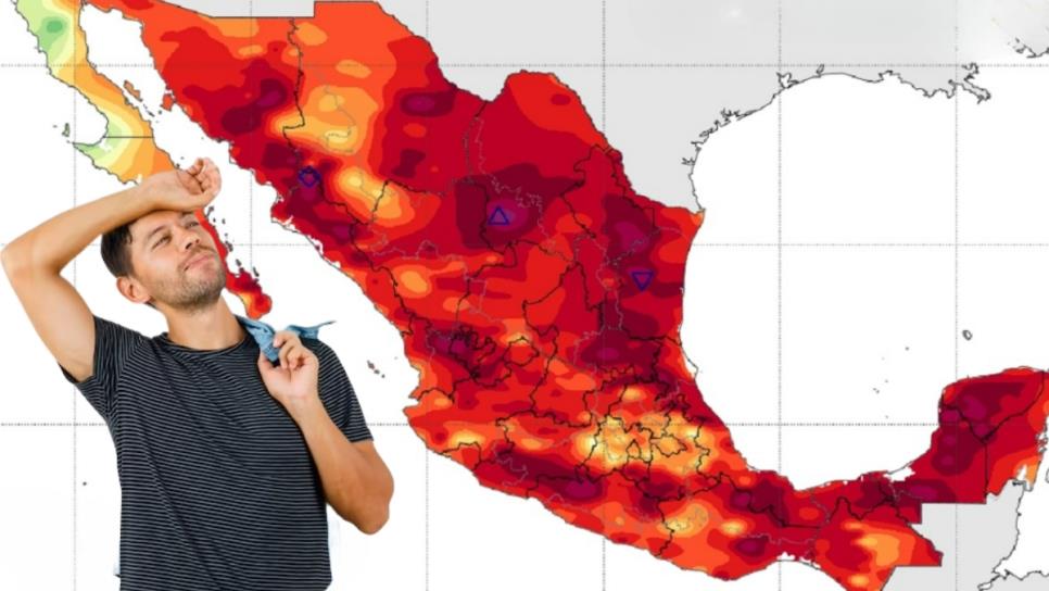 Sinaloa, Sonora o BCS: ¿En qué estado hará más calor este verano 2025? Sinaloa, Sonora o BCS: ¿En qué estado hará más calor este verano 2025?