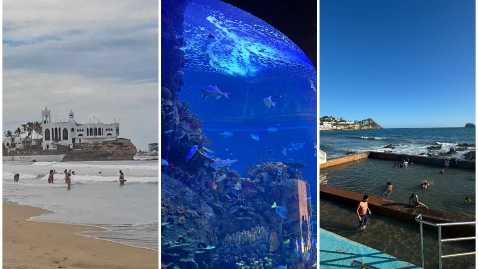 Vacaciones en familia en Mazatlán: playas seguras, acuarios, y opciones con niños Vacaciones en familia en Mazatlán: playas seguras, acuarios, y opciones con niños