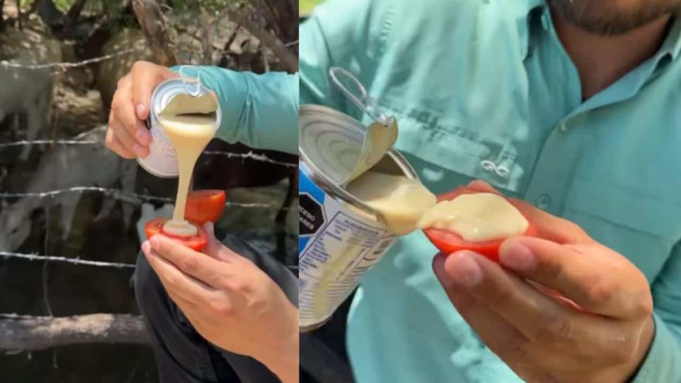 En Sonora se comen el tomate con lecherita y así lo disfrutan | VIDEO