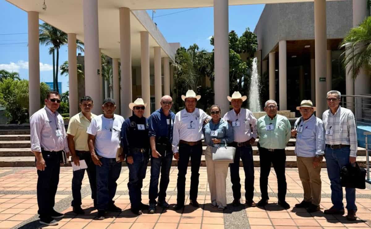 PLHINO: Podríamos duplicar la producción de maíz y trigo en el Noroeste si empezamos ya
