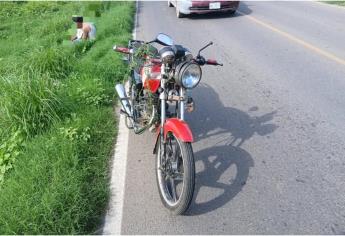 Se le atraviesa una vaca a motociclista y casi muere al salirse de la carretera en Guasave 