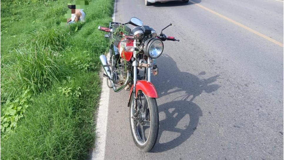 Se le atraviesa una vaca a motociclista y casi muere al salirse de la carretera en Guasave Se le atraviesa una vaca a motociclista y casi muere al salirse de la carretera en Guasave