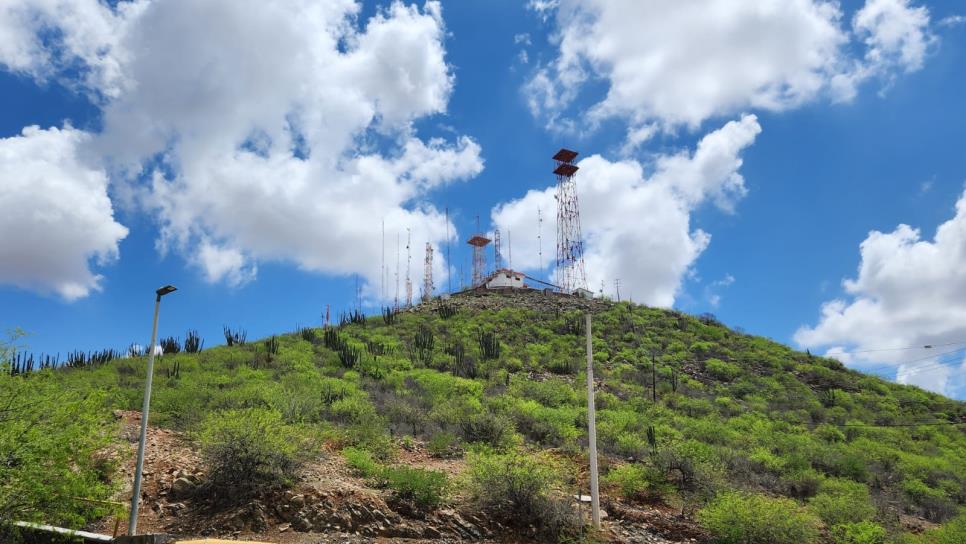 El Cerro de la Memoria en Los Mochis comienza a reverdecer tras las recientes lluvias