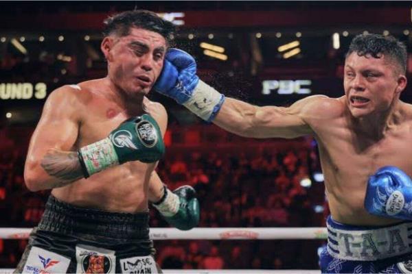 Se cancela pelea de Pitbull Cruz, por problemas de salud de Thasiro Fierro