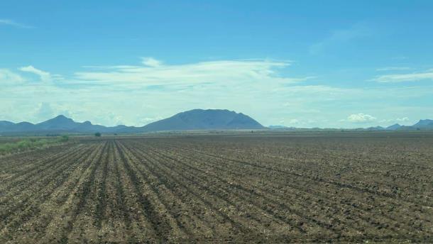 Nota Relacionada de Agro
