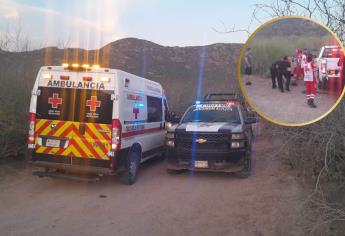 Muere adolescente tras ser atacado por un enjambre de abejas en un cerro en Ahome