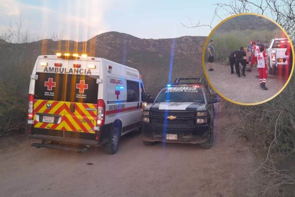 Muere adolescente tras ser atacado por un enjambre de abejas en un cerro en Ahome