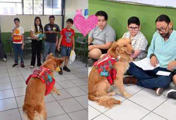 Conoce a “Bella”, la terapeuta de cuatro patitas que ha enamorado a Los Mochis