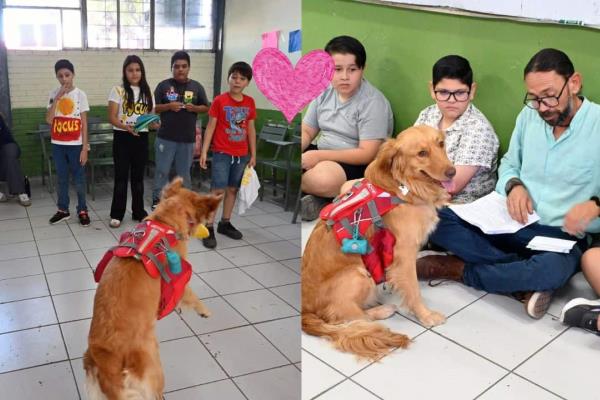 Conoce a "Bella", la terapeuta de cuatro patitas que ha enamorado a Los Mochis