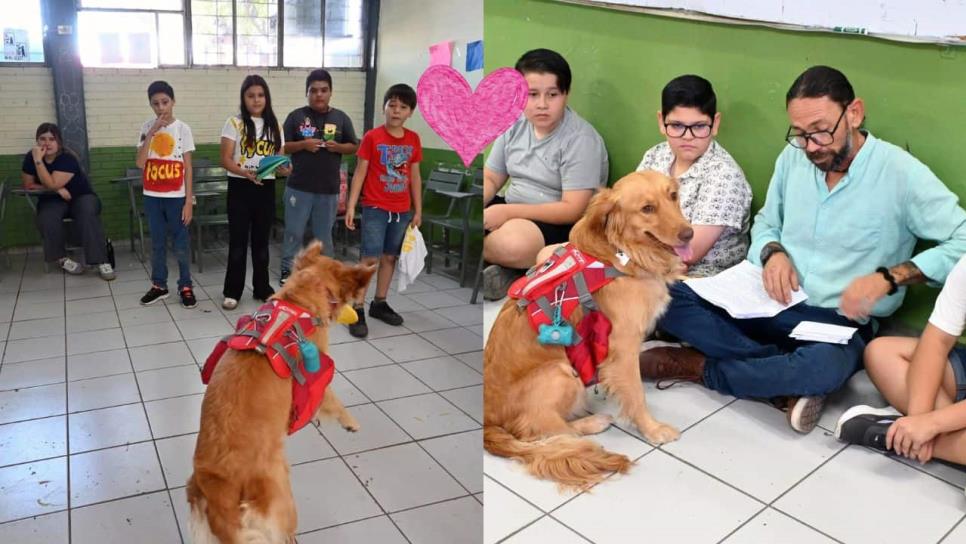 Conoce a "Bella", la terapeuta de cuatro patitas que ha enamorado a Los Mochis Conoce a "Bella", la terapeuta de cuatro patitas que ha enamorado a Los Mochis