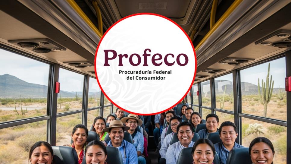 Vacaciones 2025: Estos son tus derechos si viajas en autobús, según Profeco