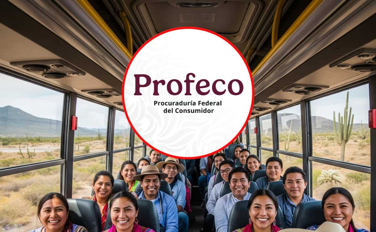 Vacaciones 2025: Estos son tus derechos si viajas en autobús, según Profeco