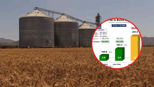 Nota Relacionada de Agro