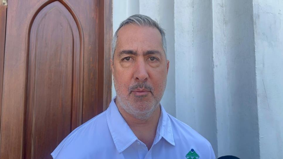 Bimbo busca comprar ajonjolí producido en el norte de Sinaloa