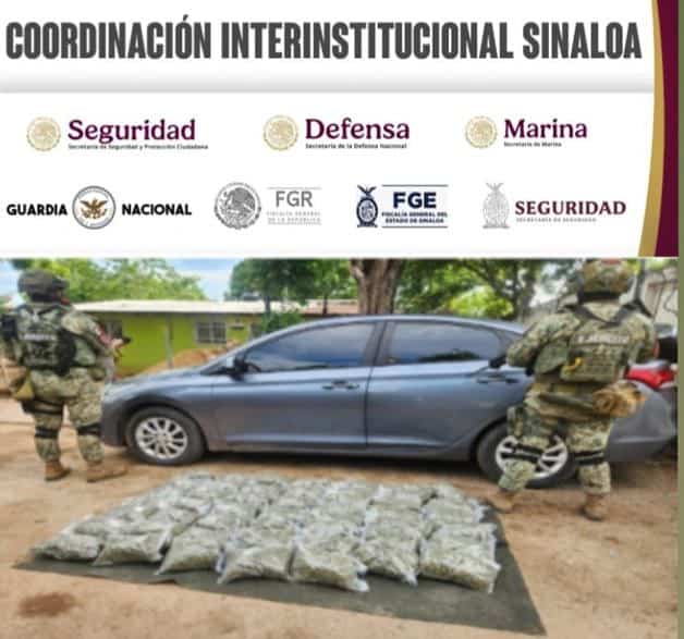 Imagen Placeholder