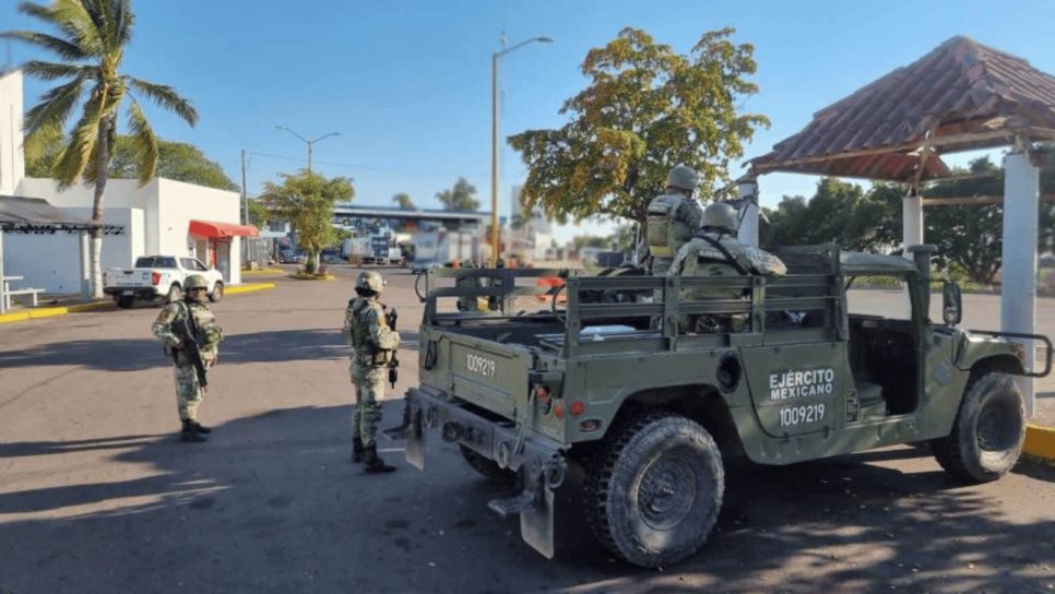 Varios paquetes con mariguana son asegurados en la sindicatura de Quilá