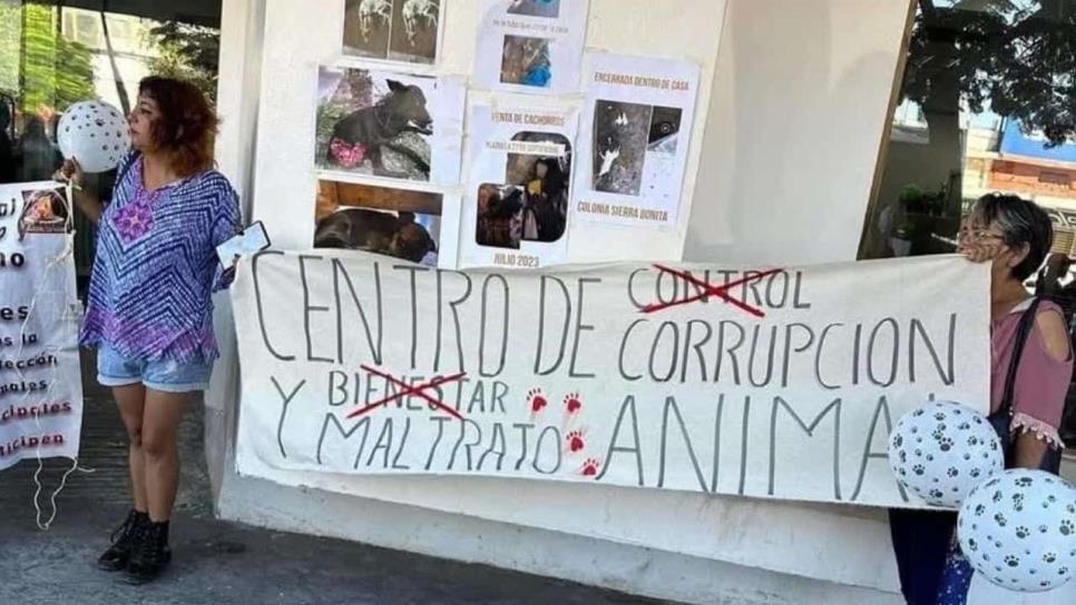 En Día Nacional del Perro, animalistas de Los Mochis exigen destitución de director del Centro de Control y Bienestar Animal En Día Nacional del Perro, animalistas de Los Mochis exigen destitución de director del Centro de Control y Bienestar Animal