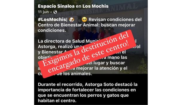 Imagen Placeholder