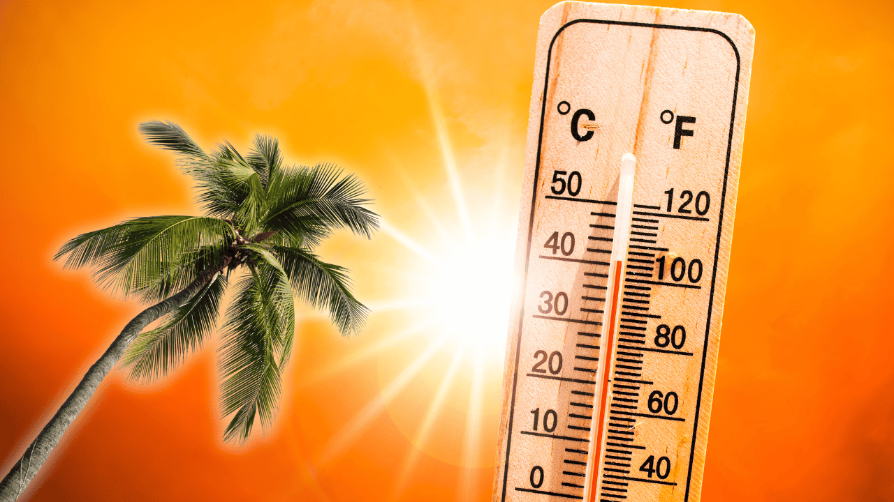 FOTO: Calor intenso y viento en Los Mochis.