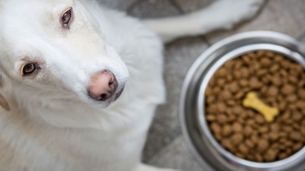 Imagen Placeholder Imagen Placeholder