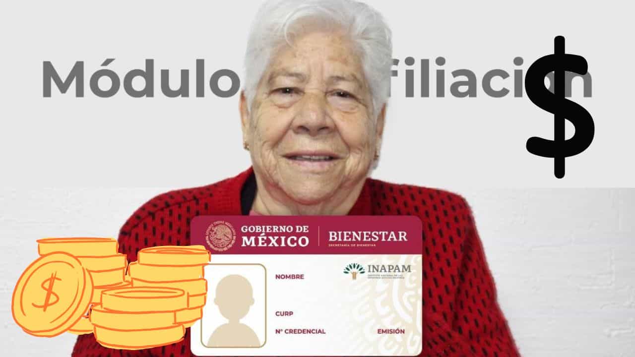 INAPAM: ¿Qué adultos mayores podrán recibir hasta 14 mil pesos el próximo año?