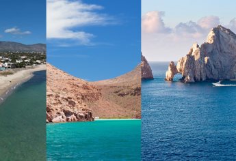 Vacaciones 2025: Playas de BCS para nadar con delfines ideales para este verano