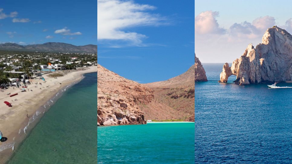 Vacaciones 2025: Playas de BCS para nadar con delfines ideales para este verano Vacaciones 2025: Playas de BCS para nadar con delfines ideales para este verano