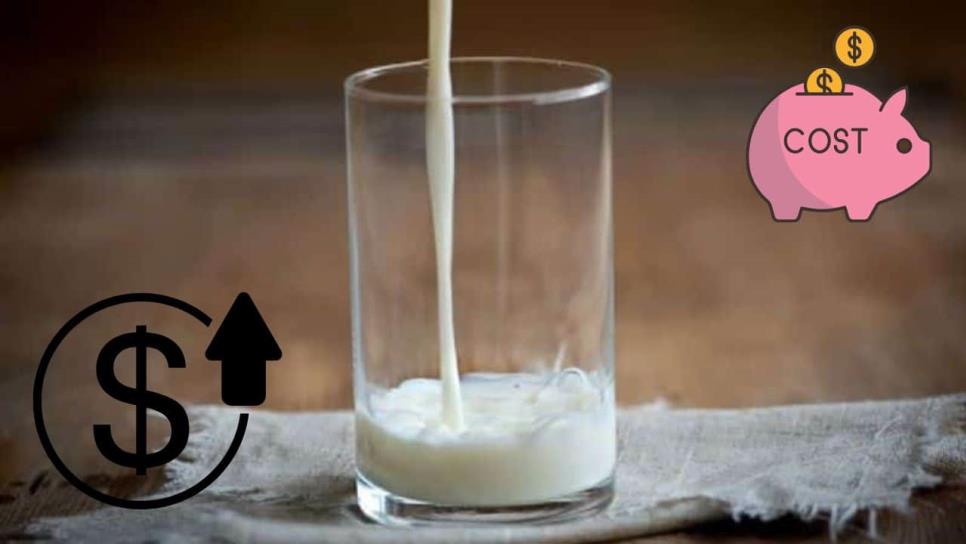 Profeco: esta es la leche entera más cara de todo México