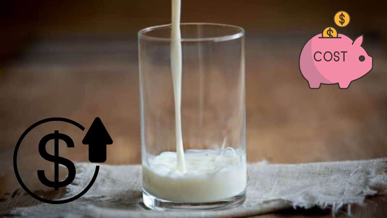 Profeco: esta es la leche entera más cara de todo México