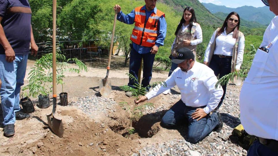 Oroco y Sembrando Vida firman convenio para impulsar cuidado ambiental en Choix