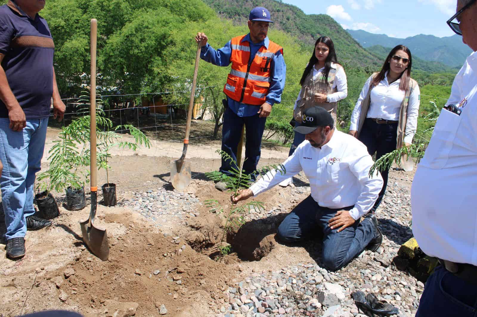 Oroco y Sembrando Vida firman convenio para impulsar cuidado ambiental en Choix