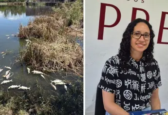 Autoridades investigan muerte de peces en Laguna del Camarón en Mazatlán; descartan contaminación por aguas negras