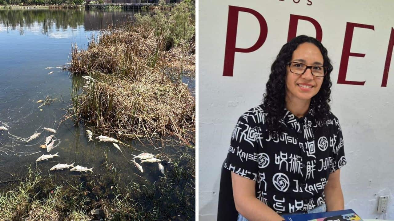Autoridades investigan muerte de peces en Laguna del Camarón en Mazatlán; descartan contaminación por aguas negras