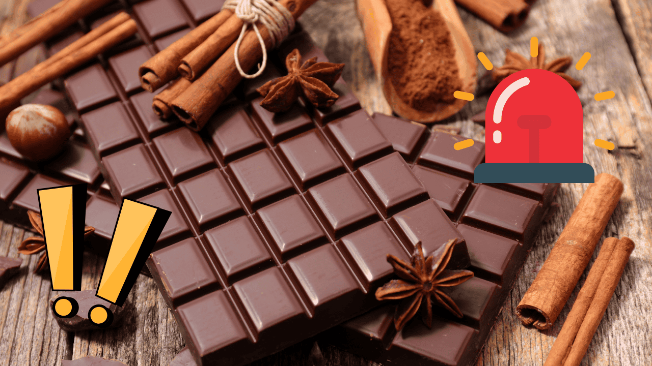 Chocolate en México: ¿Por qué subió de precio? Todo lo que debes saber