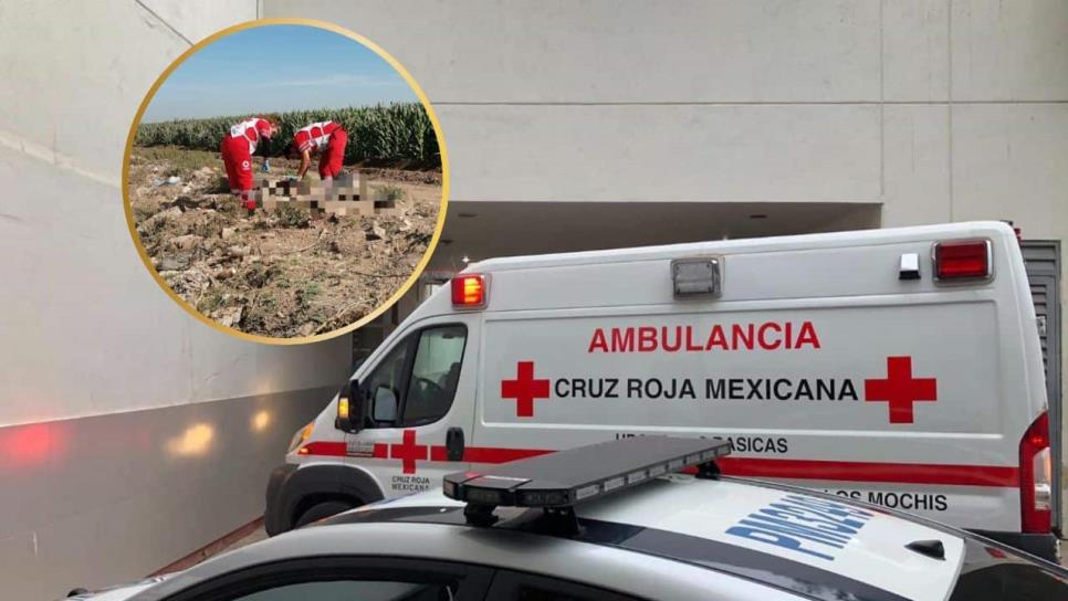 Acusan a joven de ratero en Los Mochis, lo atacan a batazos y puntas; casi lo matan Acusan a joven de ratero en Los Mochis, lo atacan a batazos y puntas; casi lo matan