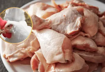 ¿Por qué el pollo es de color amarillo en México?, esto dicen los expertos