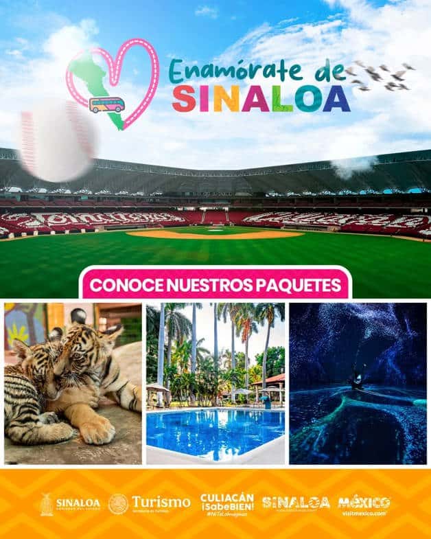 Imagen Placeholder Imagen Placeholder