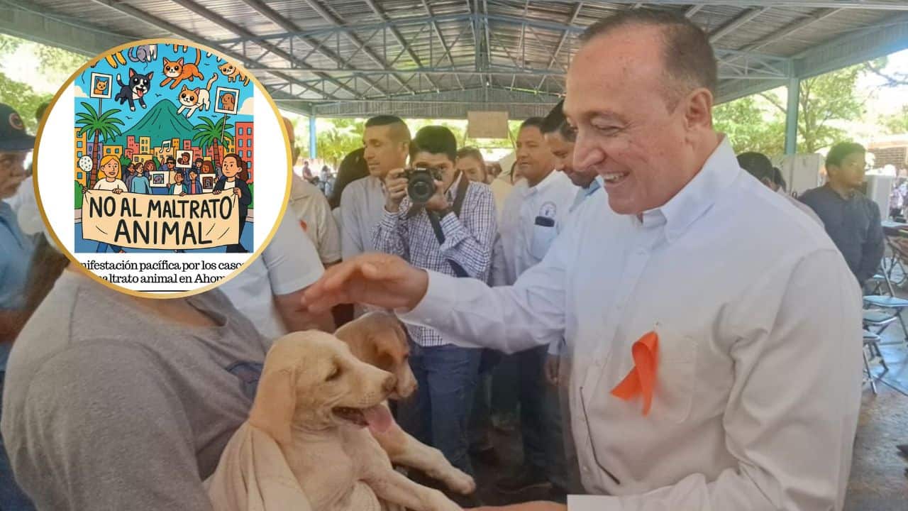 Animalistas convocan a marcha en Los Mochis, Antonio Menéndez se unirá a la exigencia de justicia