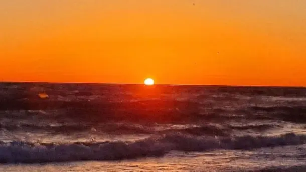 Nota Relacionada de México