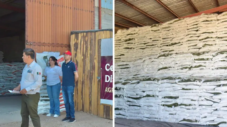 ¿Cómo acceder al programa Fertilizantes para el Bienestar 2025 en Sinaloa? ¿Cómo acceder al programa Fertilizantes para el Bienestar 2025 en Sinaloa?
