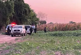 Localizan a una persona ejecutada en San Pedro, Navolato