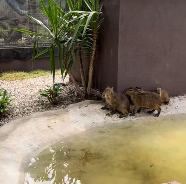 Imagen Placeholder Imagen Placeholder