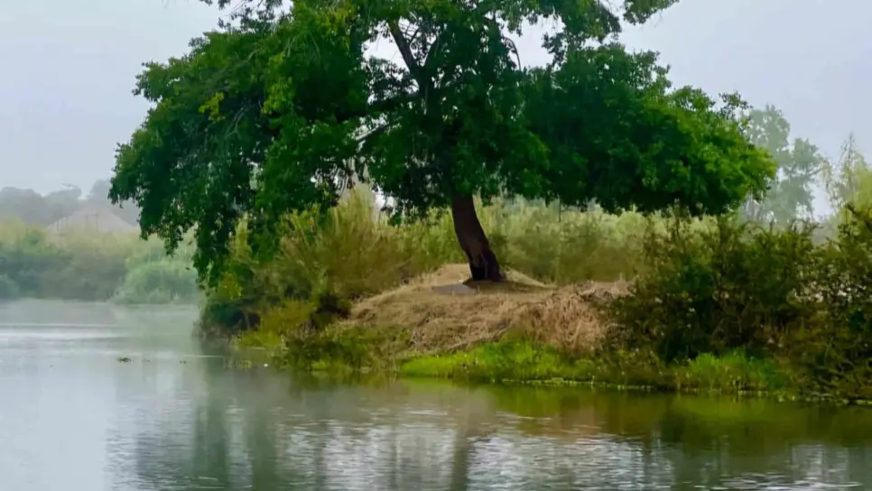 Localizan ahogado a joven en el río en El Naranjo, El Fuerte, tras casi 19 horas de búsqueda Localizan ahogado a joven en el río en El Naranjo, El Fuerte, tras casi 19 horas de búsqueda