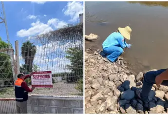 Fueron plaguicidas los que contaminaron el canal Cahuinahua, El Fuerte 