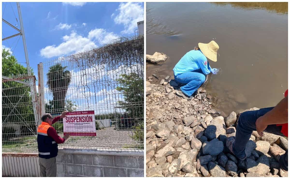 Fueron plaguicidas los que contaminaron el canal Cahuinahua, El Fuerte 