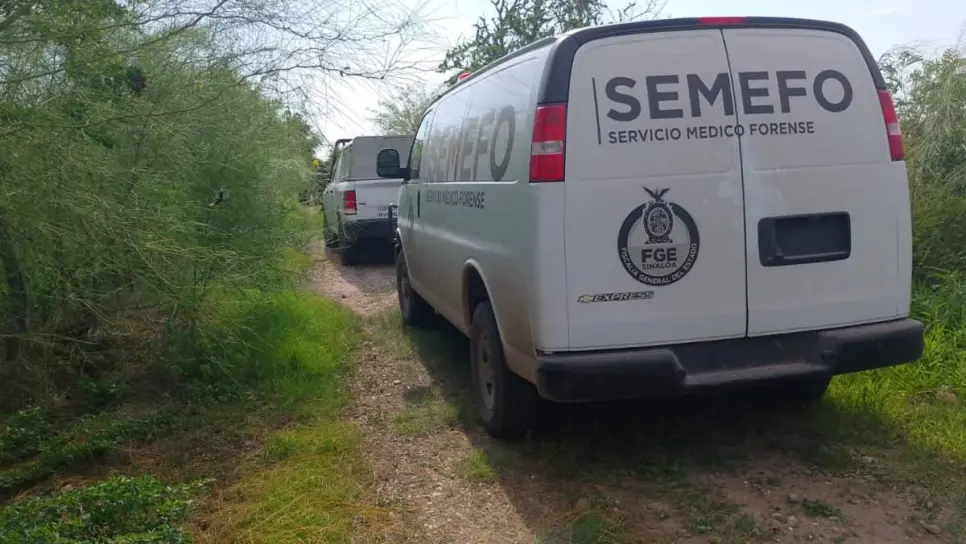 Hombre se mete a bañar a un canal y muere atacado por un cocodrilo en Sánchez Celis, Eldorado Hombre se mete a bañar a un canal y muere atacado por un cocodrilo en Sánchez Celis, Eldorado