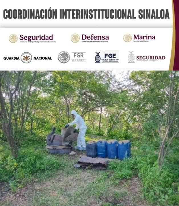 Imagen Placeholder Imagen Placeholder