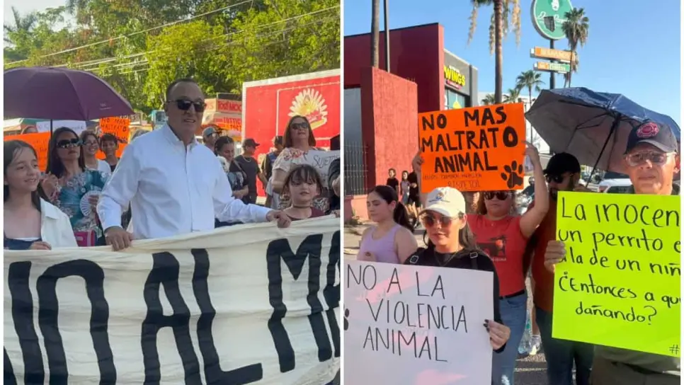 Animalistas y alcalde de Ahome marchan contra el maltrato de mascotas Animalistas y alcalde de Ahome marchan contra el maltrato de mascotas