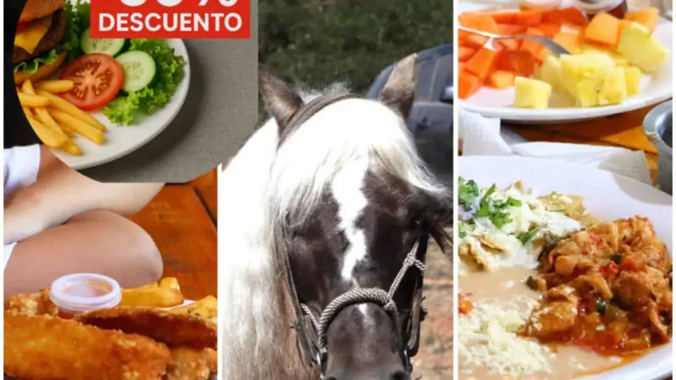 Restaurante en Mazatlán consiente a los niños: 50 % de descuento en desayunos para menores de 10 años Restaurante en Mazatlán consiente a los niños: 50 % de descuento en desayunos para menores de 10 años